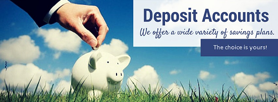 Savings Deposit Savings Deposit